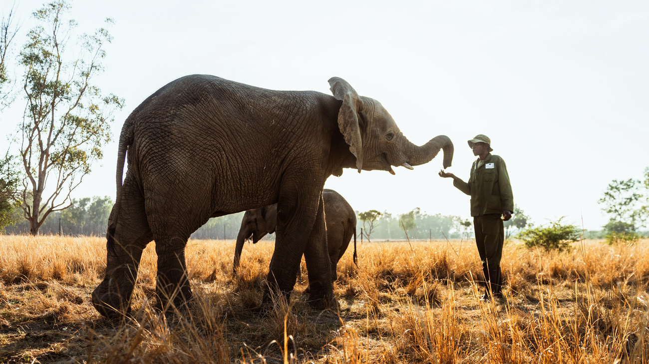 A Comprehensive Wildlife Conservation Initiative